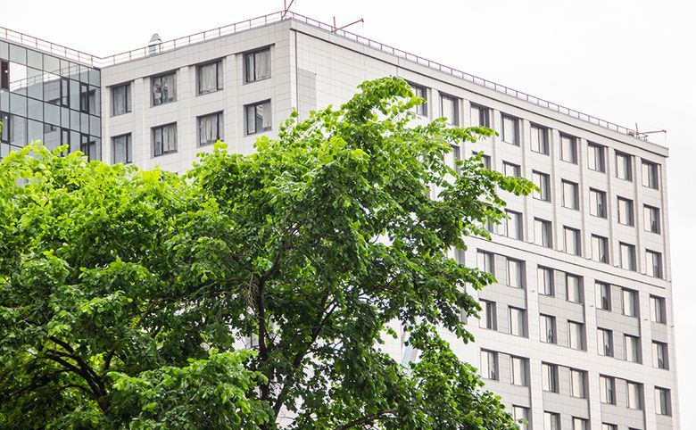LADOZHSKY AVENIR